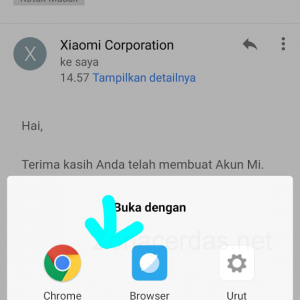Gambar 11. Pilih salah satu webbrowser Gambar 11. Pilih salah satu webbrowser